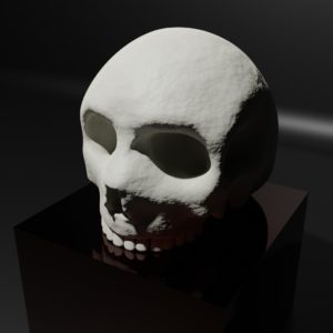頭蓋骨2